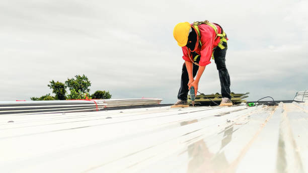 Best Rubber Roofing (EPDM, TPO)  in Sidy, NE