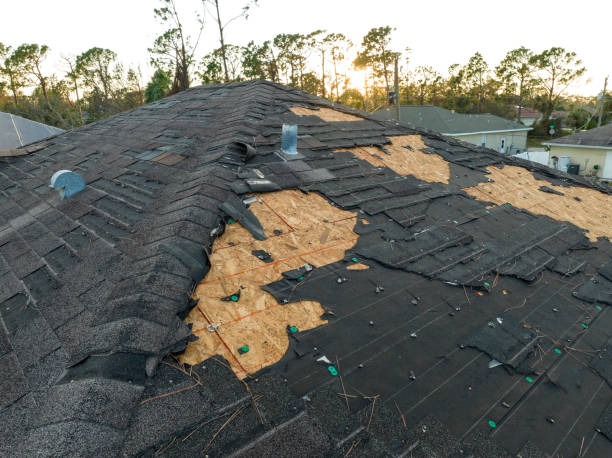 Best Tile Roofing Installation  in Sidy, NE